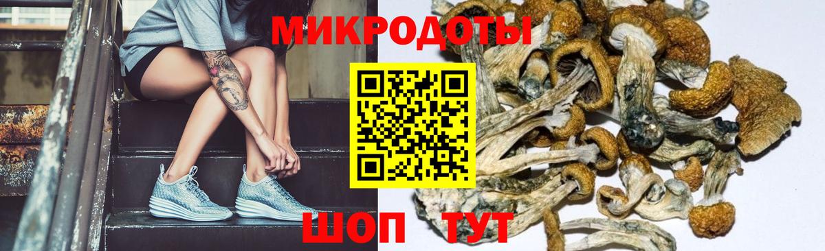 Кулебаки  Галлюциногенные грибы Cubensis  Вход с VPN  Галлюциногенные грибы MAGIC MUSHROOMS 